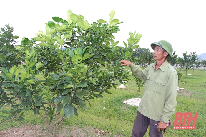 Ứng dụng khoa học - kỹ thuật vào sản xuất nông nghiệp ở các huyện miền núi