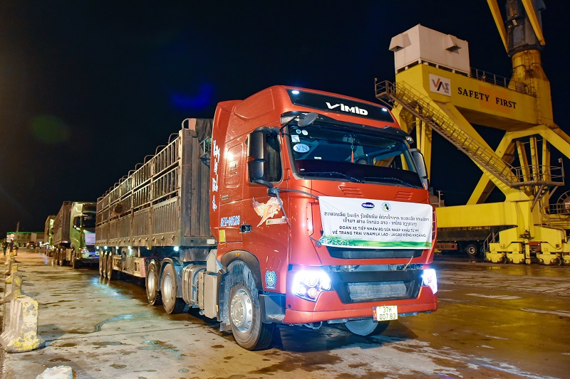 Trang trại Vinamilk Lao-Jagro tiếp nhận đàn bò sữa 1.000 con đầu tiên nhập khẩu từ mỹ