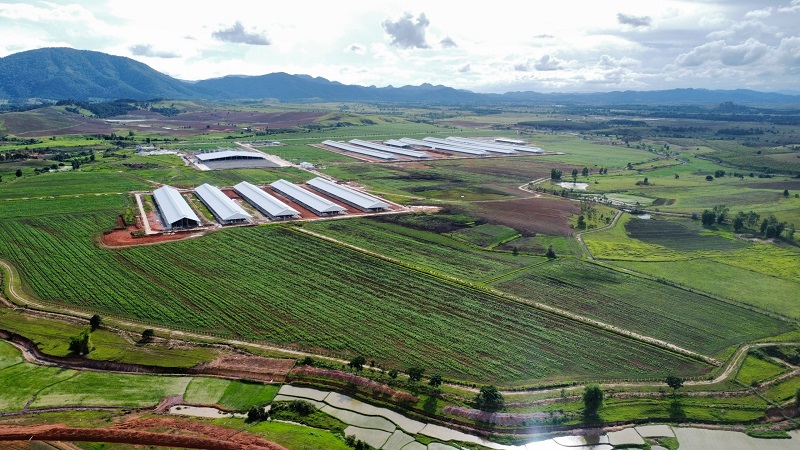Trang trại Vinamilk Lao-Jagro tiếp nhận đàn bò sữa 1.000 con đầu tiên nhập khẩu từ mỹ