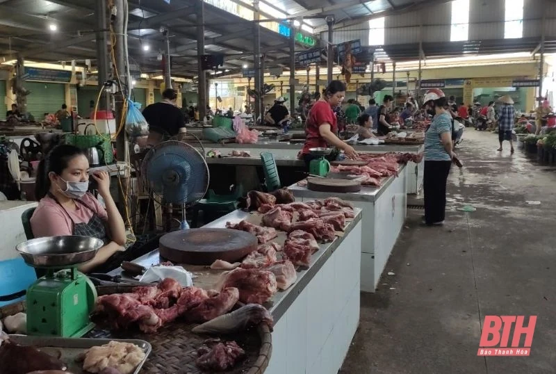 Giá lợn hơi tại Thanh Hóa tăng mạnh từng ngày