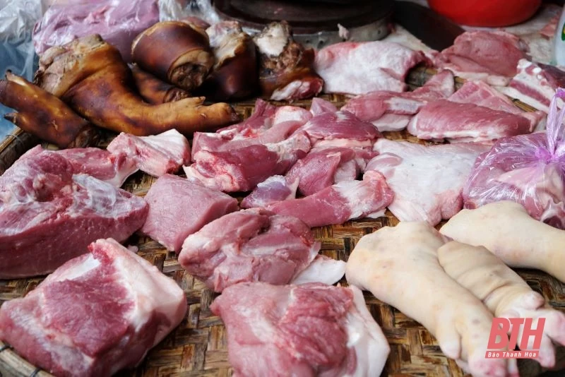 Giá lợn hơi tại Thanh Hóa tăng mạnh từng ngày