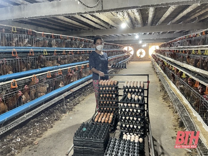 Khó khăn xây dựng cơ sở chăn nuôi an toàn dịch bệnh