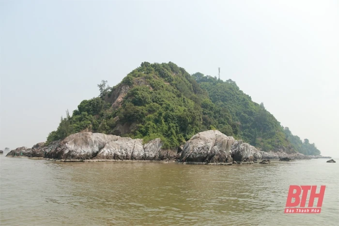 Đến với đảo Nẹ