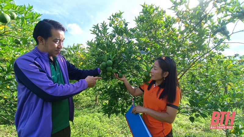 Hành trình trên đất Hủa Phăn (Bài cuối): Thắt chặt thêm mối quan hệ hữu nghị, hợp tác toàn diện giữa hai tỉnh Thanh Hóa - Hủa Phăn