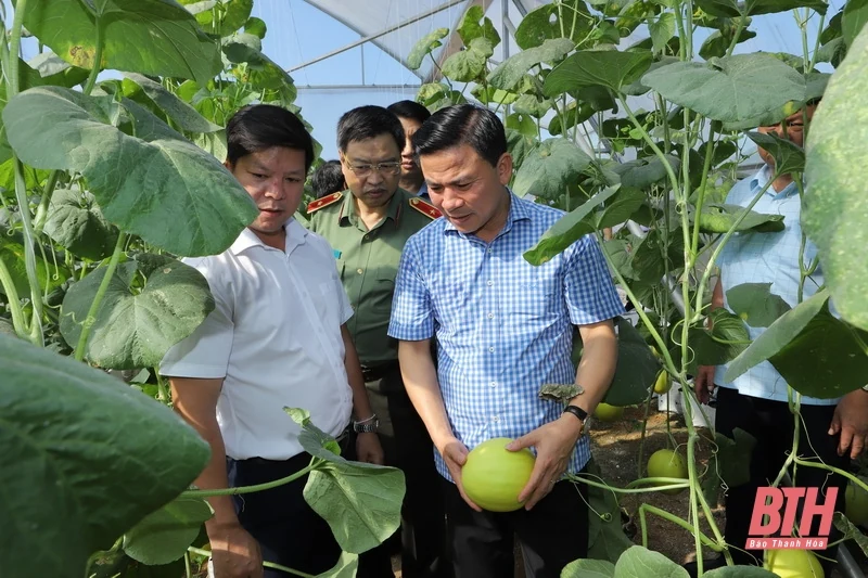 Xây dựng Ngọc Lặc trở thành huyện nông thôn mới vào năm 2025 và là 1 trong 3 huyện dẫn đầu khu vực miền núi của tỉnh