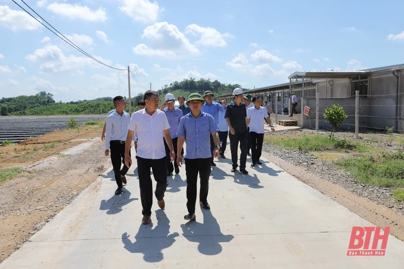 Xây dựng Ngọc Lặc trở thành huyện nông thôn mới vào năm 2025 và là 1 trong 3 huyện dẫn đầu khu vực miền núi của tỉnh