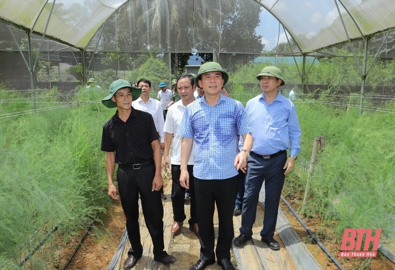 Xây dựng Ngọc Lặc trở thành huyện nông thôn mới vào năm 2025 và là 1 trong 3 huyện dẫn đầu khu vực miền núi của tỉnh