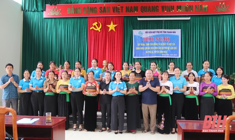 Ra mắt Tổ hợp tác chăn nuôi lợn nái đen sinh sản do phụ nữ làm chủ tại Quan Hóa