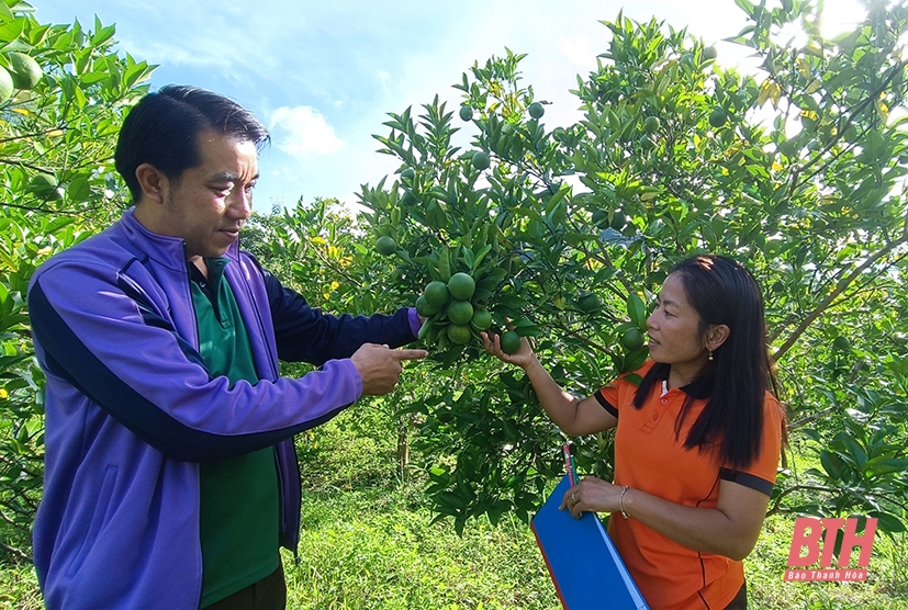 Tăng cường hợp tác về kinh tế góp phần nâng tầm mối quan hệ hữu nghị Thanh Hóa - Hủa Phăn