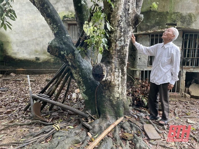 Tìm lại nơi che chở và nuôi dưỡng gia đình Hoàng thân Xu-pha-nu-vông trên đất Thanh Hóa