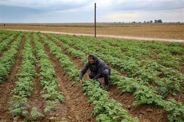 Israel, Palestine hợp tác chuyển nước tới thung lũng Jordan