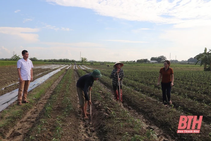 Huyện ủy Yên Định tập trung chỉ đạo đại hội chi bộ trực thuộc đảng bộ cơ sở