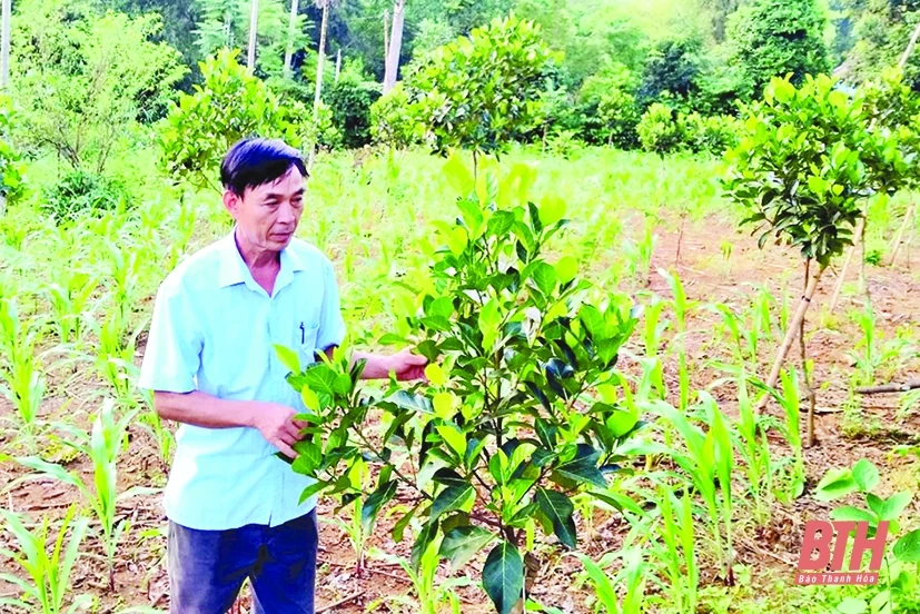 Người có uy tín hết lòng vì công việc tập thể