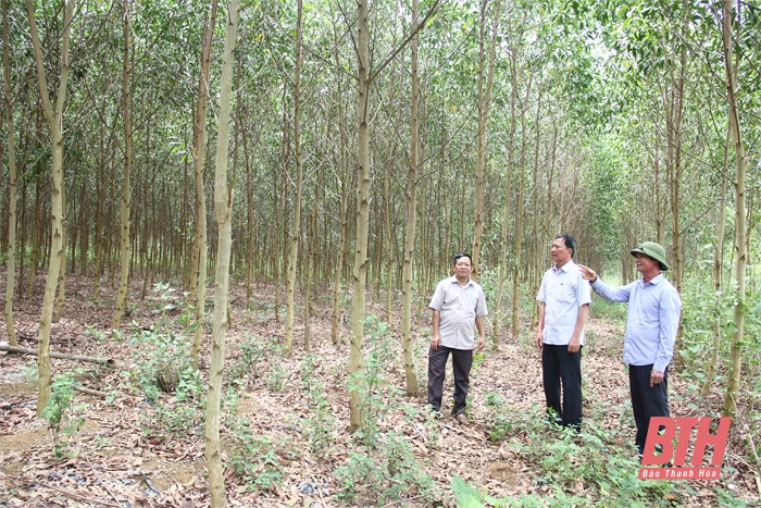 Cựu chiến binh đồng hành giúp nhau phát triển kinh tế