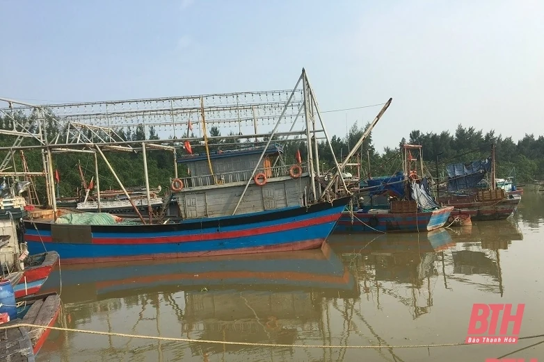 Thanh Hóa chủ động ứng phó với ảnh hưởng của cơn bão số 4