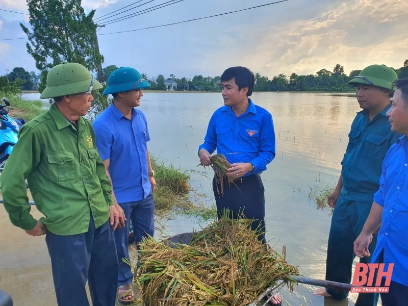 Tuổi trẻ Thanh Hoá hỗ trợ người dân khắc phục hậu quả mưa bão