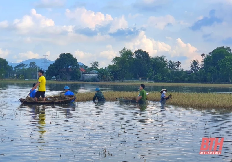 Tuổi trẻ Thanh Hoá hỗ trợ người dân khắc phục hậu quả mưa bão