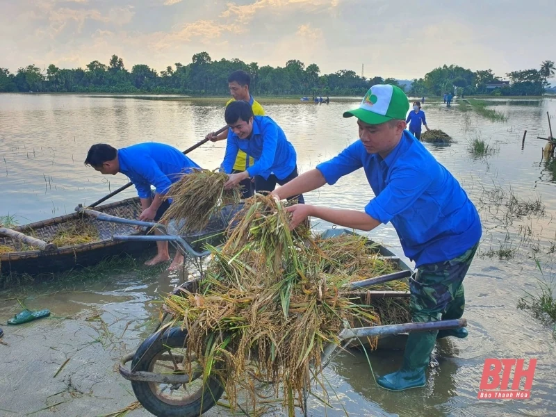 Tuổi trẻ Thanh Hoá hỗ trợ người dân khắc phục hậu quả mưa bão