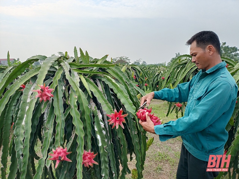 Nỗ lực vượt khó làm kinh tế giỏi