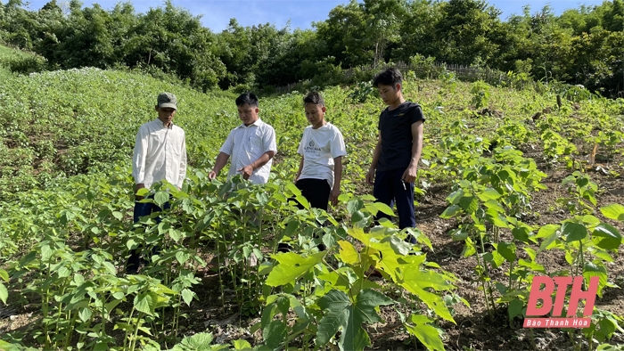 Hành trình tìm cuộc sống mới của đồng bào Khơ Mú xứ Thanh (Bài 2): Những bước đi mở lối thoát nghèo