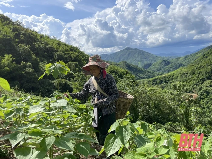 Hành trình tìm cuộc sống mới của đồng bào Khơ Mú xứ Thanh (Bài cuối): Giúp đồng bào vươn lên, tự lực cánh sinh