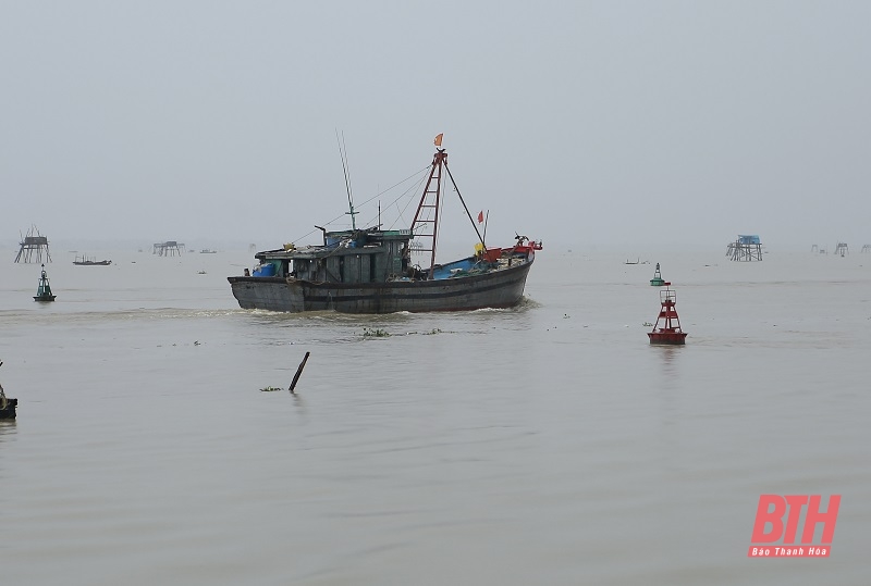 Chủ động ứng phó với gió mạnh trên biển