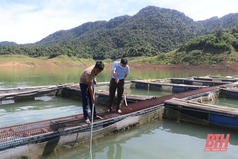 67 HTX nông nghiệp được đề nghị hỗ trợ đầu tư phát triển kết cấu hạ tầng và chế biến sản phẩm