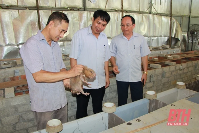 Thường Xuân sau hơn 2 năm thực hiện nghị quyết đại hội đảng các cấp
