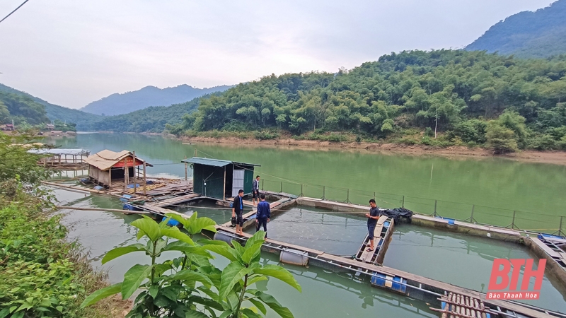 Nuôi cá lồng trên lòng hồ thủy điện Trung Xuân