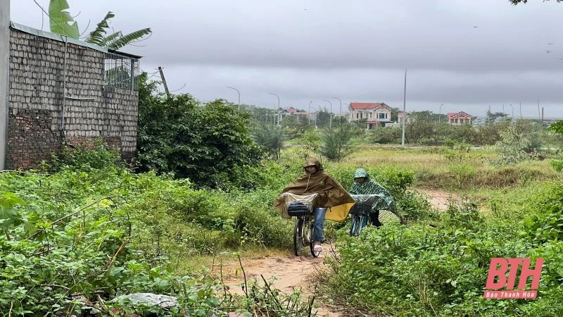 Tuyến đường “cứ mưa là ngập” ở phường Quảng Cư, TP Sầm Sơn