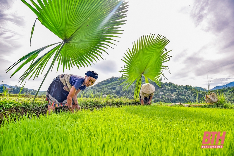 Vẻ đẹp người phụ nữ vùng cao xứ Thanh