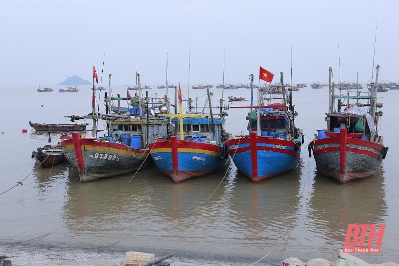 Công khai danh sách 354 tàu cá có nguy cơ cao vi phạm khai thác IUU