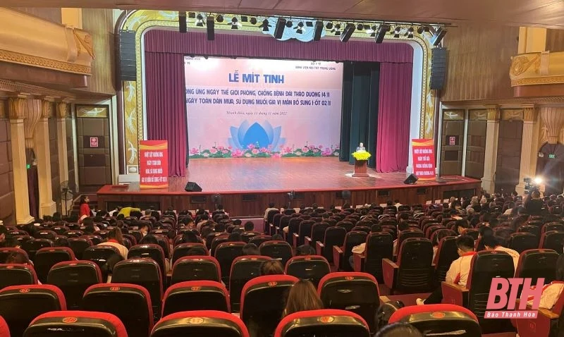 Mít tinh hưởng ứng Ngày Thế giới phòng, chống bệnh đái tháo đường và Ngày toàn dân mua và sử dụng muối i-ốt