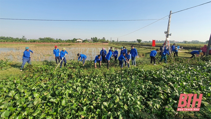 Tuổi trẻ Hậu Lộc chung tay xây dựng nông thôn mới