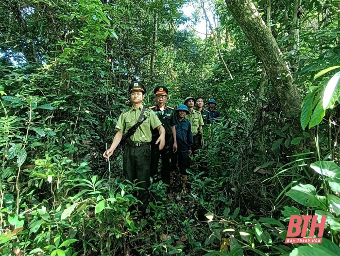 Đánh giá hiện trạng và bảo tồn các loài Gấu tại khu bảo tồn thiên nhiên Pù Hu