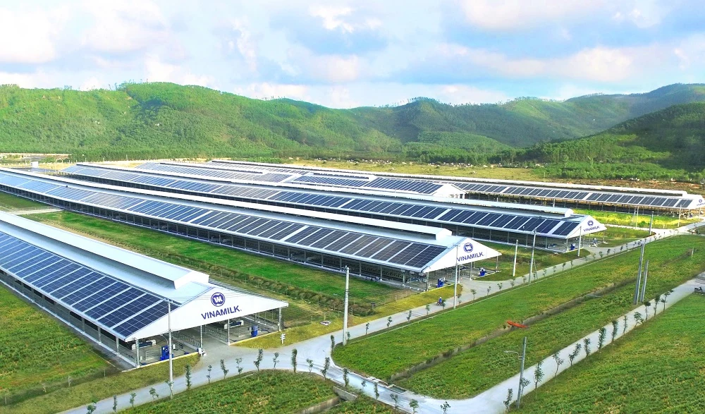 Tiếp nối thành công của Quỹ 1 triệu cây xanh, Vinamilk tiếp tục trồng cây hướng đến mục tiêu Net Zero 2050