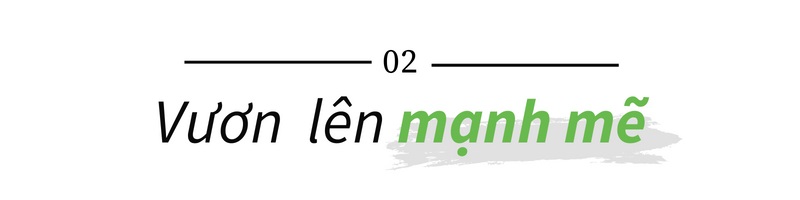 Long Hiền kỷ niệm 28 năm thành lập - Chuyển mình ngoạn mục và trăn trở về một thương hiệu xứ Thanh