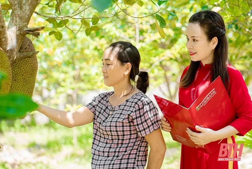 Cơ cấu hệ thống tín dụng gắn với xử lý nợ xấu