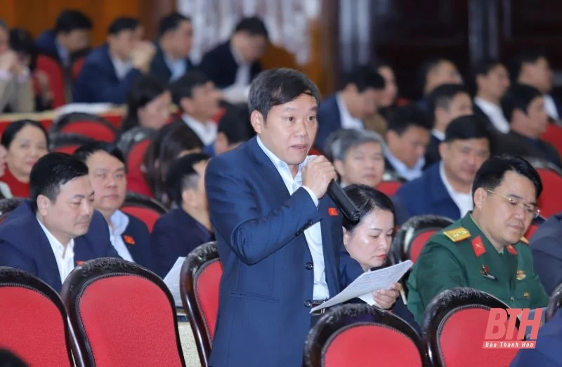 Đẩy mạnh tích tụ đất đai, chuyển dịch cơ cấu cây trồng, phát triển sản xuất nông nghiệp quy mô lớn