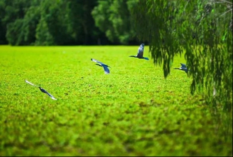 Hệ giá trị và tư duy thấu cảm