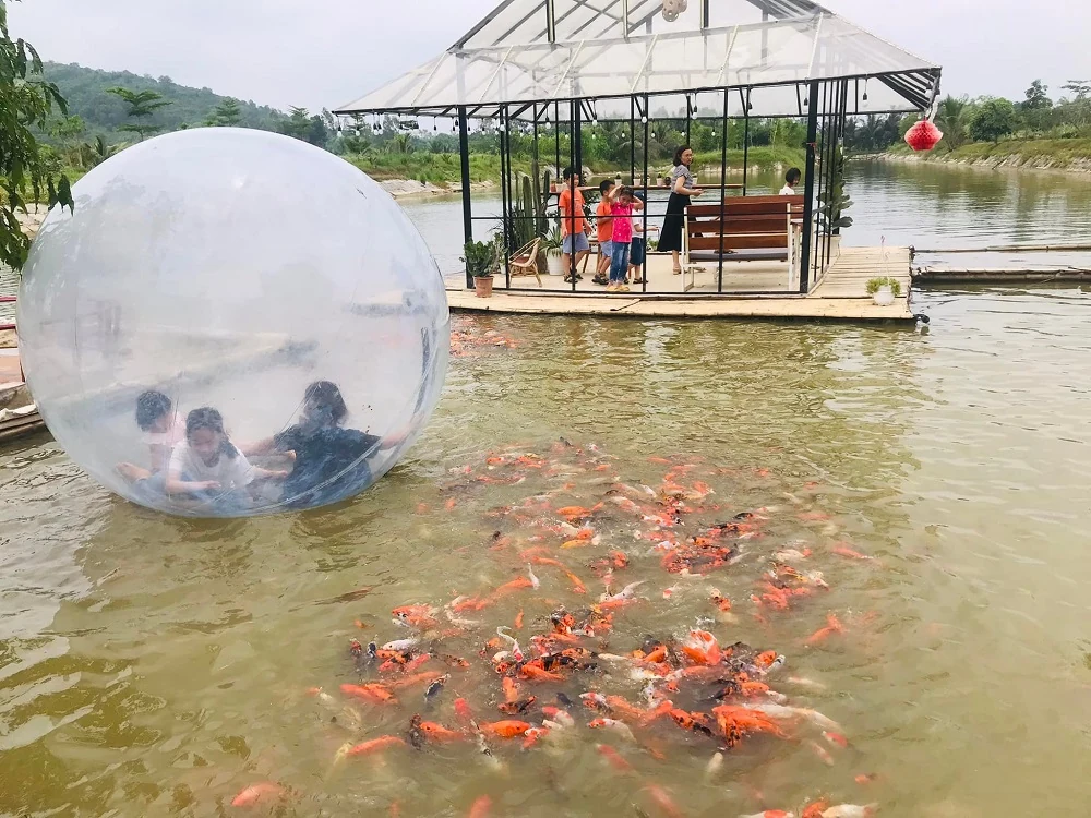 Rực rỡ sắc vàng của vườn hoa hướng dương tại Yên Định
