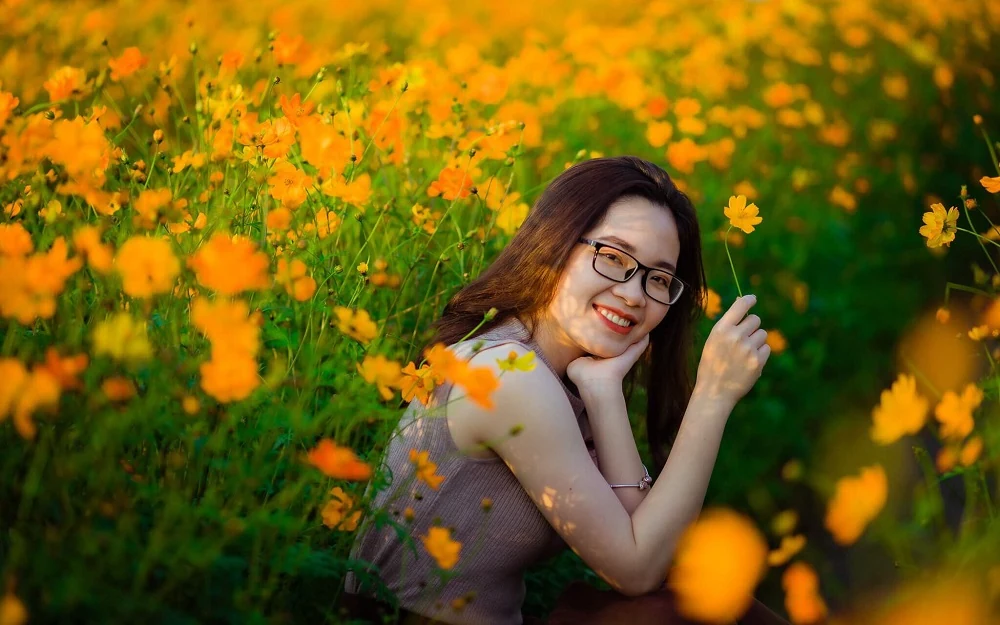 Rực rỡ sắc vàng của vườn hoa hướng dương tại Yên Định