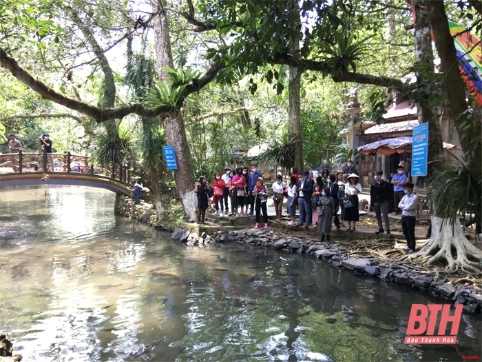Doanh nghiệp lữ hành “vào mùa” tour du xuân