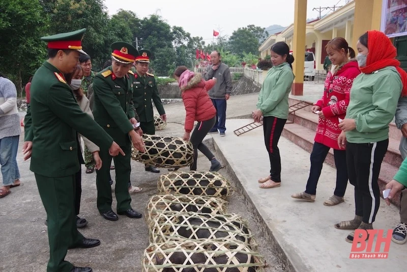 Đoàn Kinh tế - Quốc phòng 5 tặng con giống cho các gia đình khó khăn tại huyện Mường Lát 