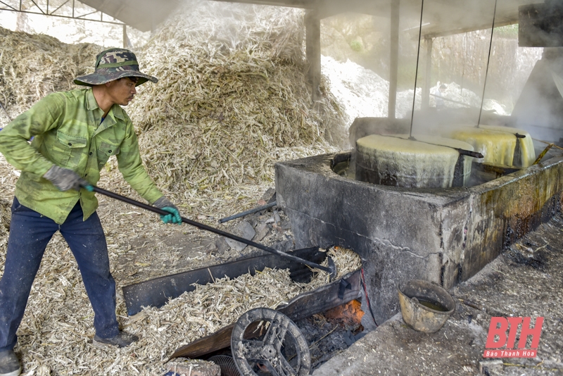 Những ngày giáp Tết ở “thủ phủ” mật mía Thạch Thành