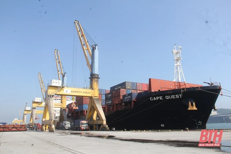 Tàu quốc tế của hãng CMA-CGM trở lại dịch vụ xuất nhập khẩu qua Cảng Nghi Sơn