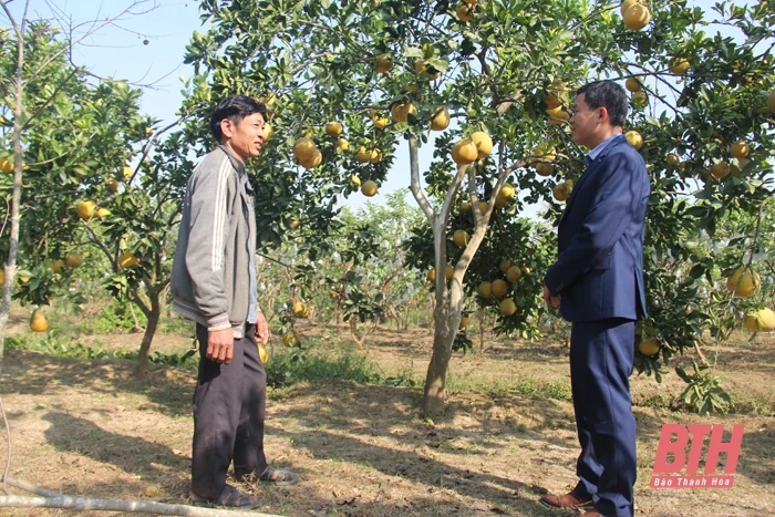 Xã Tuy Lộc phát triển sản xuất gắn với xây dựng nông thôn mới nâng cao