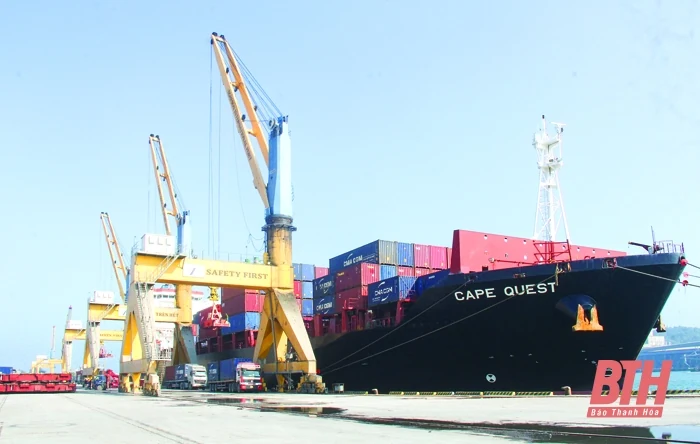 Tín hiệu tích cực từ thu hút tuyến vận tải container quốc tế tại Cảng Nghi Sơn