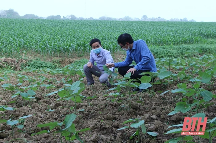 Định hướng vùng chuyên canh đặc trưng theo bản đồ nông hóa