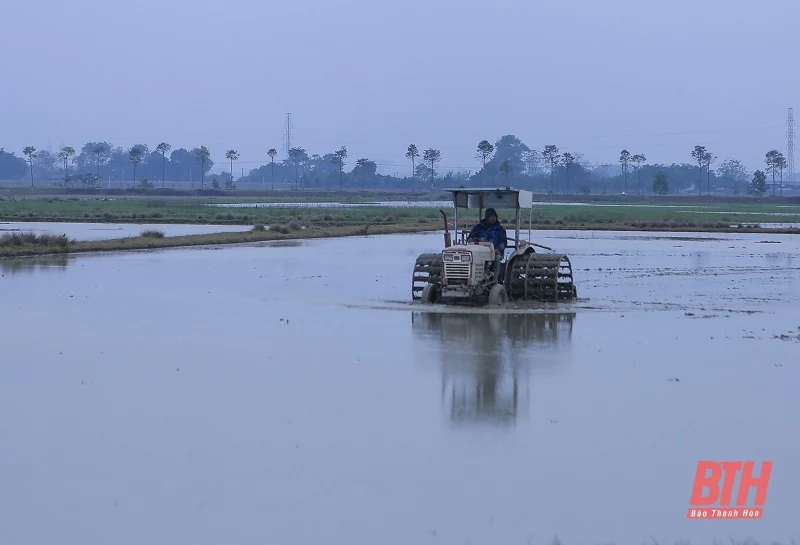 Các địa phương đồng loạt xuống đồng gieo cấy vụ xuân